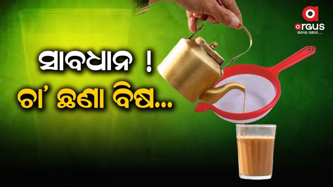 plastic tea sieve is dangerous, Plastic tea sieve a risk to the brewing process