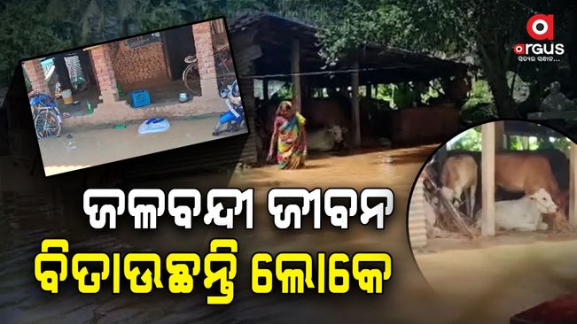 flood-situation-in-bhogarai