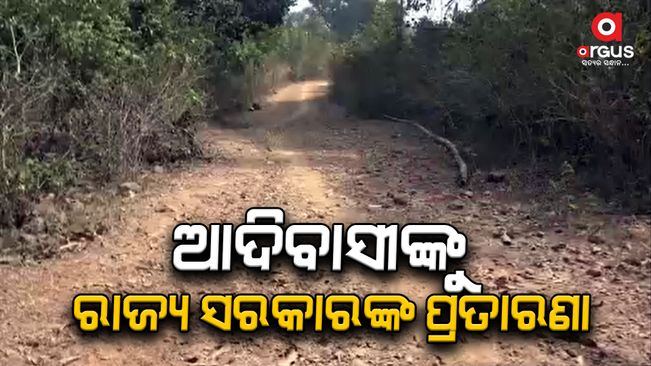 Govt plan not to cross mountain forest roads