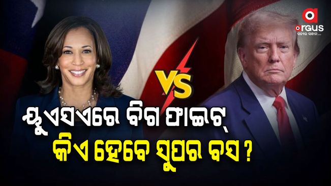 America's calf president, Trump or Harris, who will be the super boss?