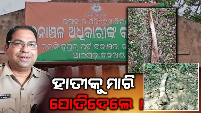 Aathgad Forest:  Elephant skeleton confiscation  by the forest department is hiding the information