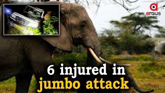 6 forest officials injured in jumbo attack in Balasore