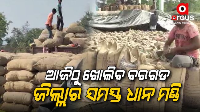 All grain market of Bargarh district will open from today