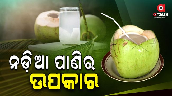 these-4-problems-get-rid-of-after-drinking-coconut-water-what-is-the-right-time-to-drink-coconut-water-nariyal-pani-ke-fay