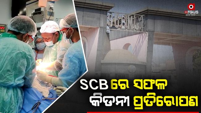 Successful kidney transplantation in SCB