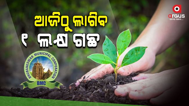 BMC will plant trees for a month from today