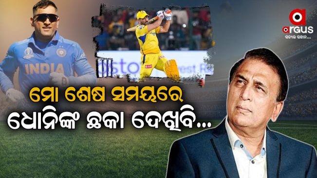 What do these senior cricketers say about Dhoni?