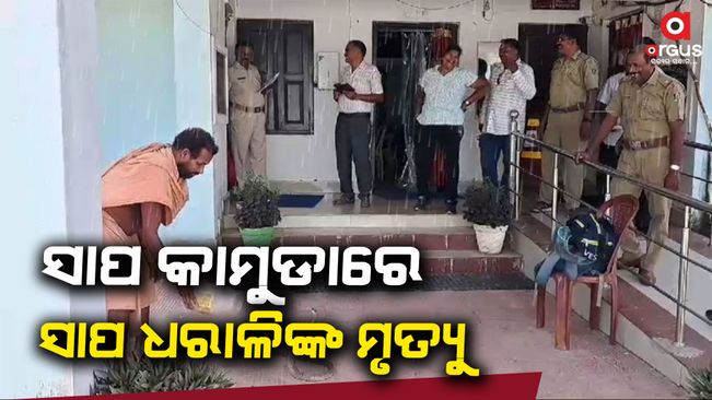 man-died-in-snake-bite-in-biramaharajpur-subarnapur