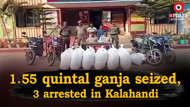 1. 55 quintal ganja seized, 3 arrested in Kalahandi | Argus News