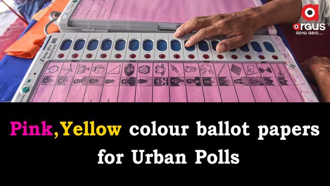 Two different coloured ballot papers to be used for urban Polls: SEC