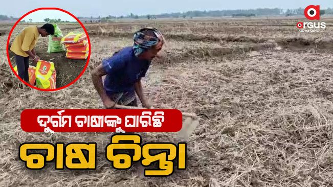 farmers face to problem in nabarangpur