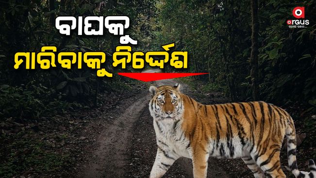 Kerala issues orders to kill tiger that attacked, ate farmer in Wayanad