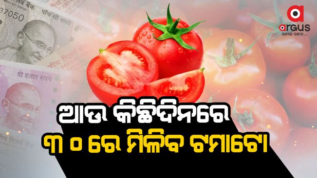tomato prices may drop to rs 30 per kg in mid august,  The prices of tomatoes are expected to increase further and may reach “ ₹300 per kg” in the coming week