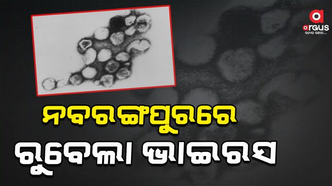 rubela-virus-found-in-nabrangpur-district