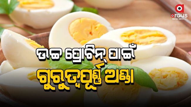 Eggs are rich in vitamins and minerals