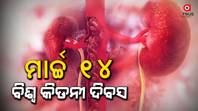 All You Need To Know About Kidney Donation
