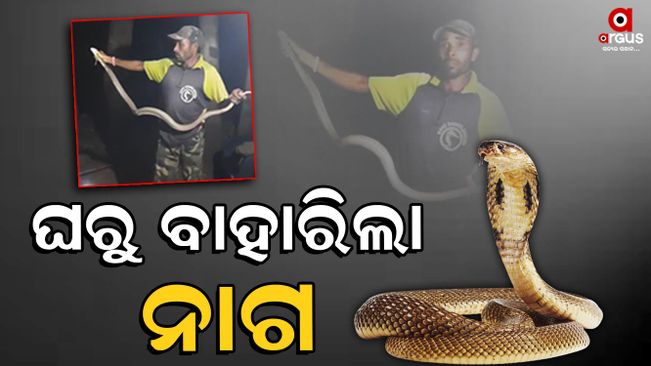 Two snakes have been recovered from a person's house