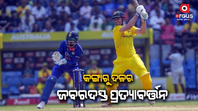 Australia beat India by 10 wickets: Series tied 1-1