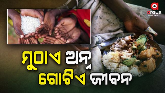 A handful of rice is a life. With this message, the world is celebrating Food Day