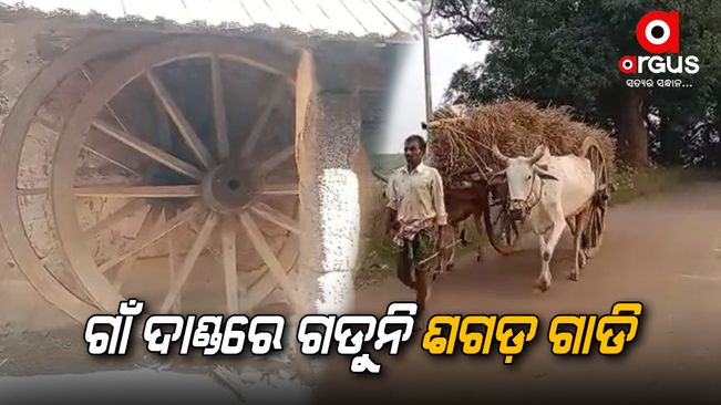 bullock-cart-not-available-in-the-village-now-a-days