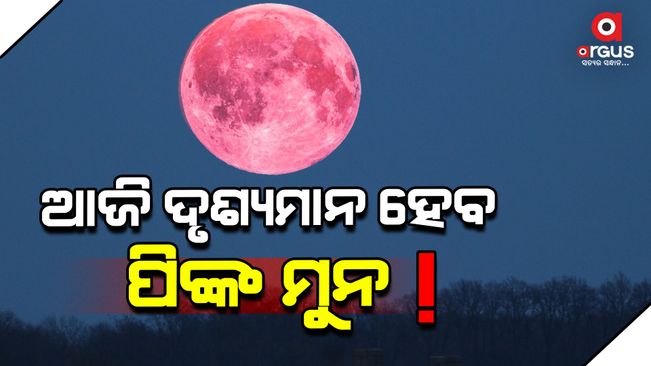 pink moon 2024 date timings pink full moon april 2024 date and time in india