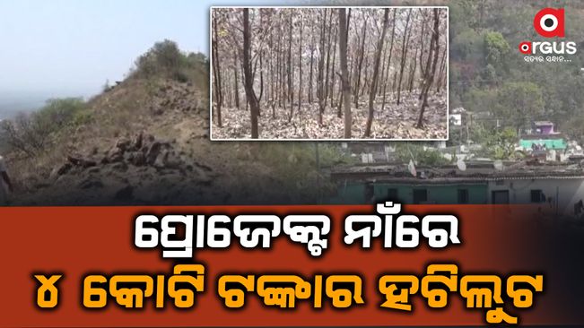 The Rourkela Forest Department is open to corruption