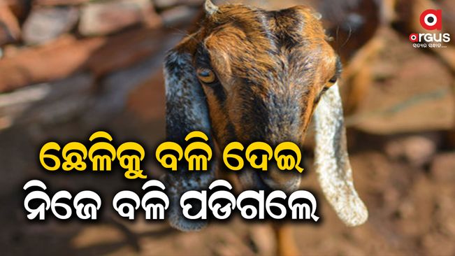 man-chokes-to-death-after-eating-sacrificed-goats-eyeball
