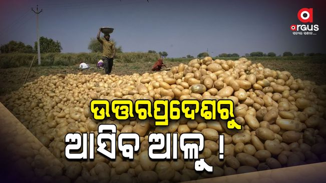 No control over potato prices