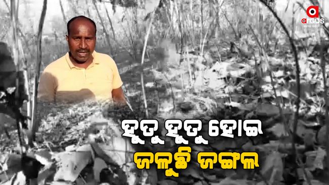 The forests of Nuapada is burning not even complete of the winter season