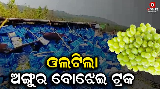 An overturned grape truck