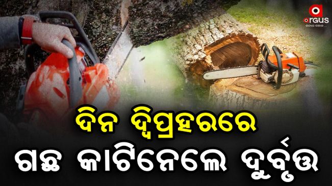Kendrapara Tree cutting case