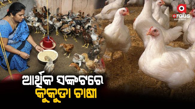 Poultry farmers in the state are now going through severe financial crisis