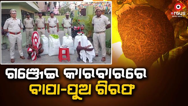 one-quintal-ganja-seized-father-son-duo-arrested-