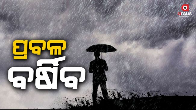 Heavy to heavy rain warning issued, The Meteorological Center has predicted heavy to heavy rainfall in various districts of the state till next 4th