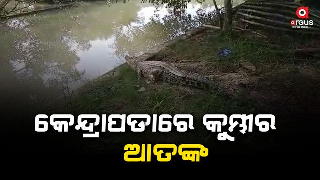 kendrapara crocodile attack