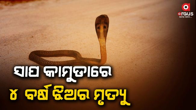 A rare incident in Dungarpada village of Muribahal police station. A 4-year-old girl died after being bitten by a snake