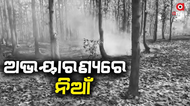 A fire broke out in the Similipal sanctuary of Mayurbhanj district