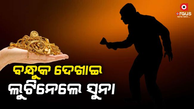 pipili gold theft case