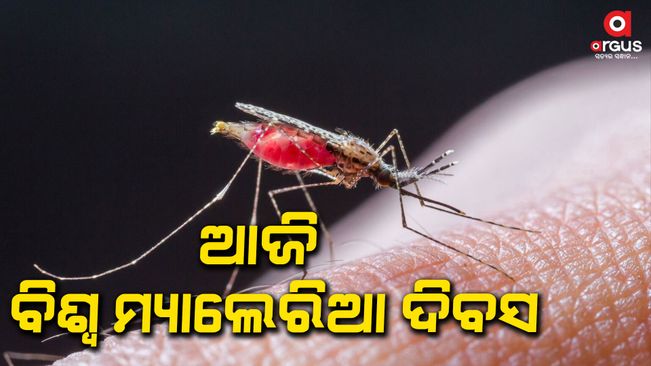 Every year, the world celebrates World Malaria Day on April 25, 2024