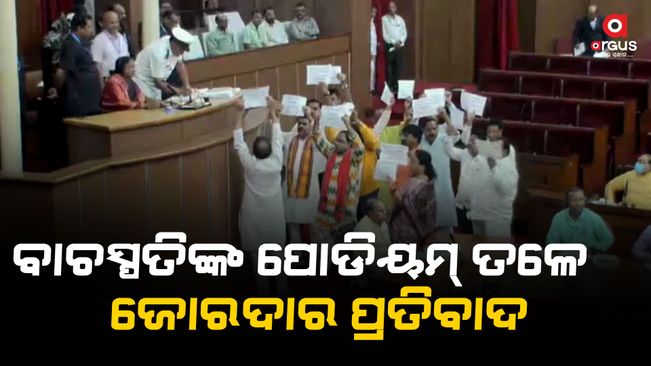 The BJP protested loudly under the speaker's podium