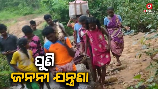 pregnant women carried on bed for 1 km in telkoi