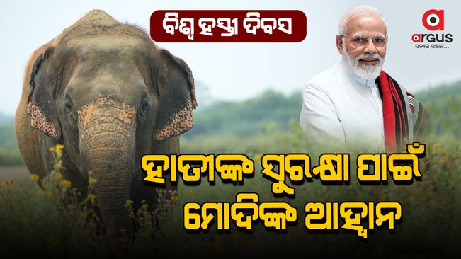 World Elephant Day, Modi's call to be aware for the protection of elephants