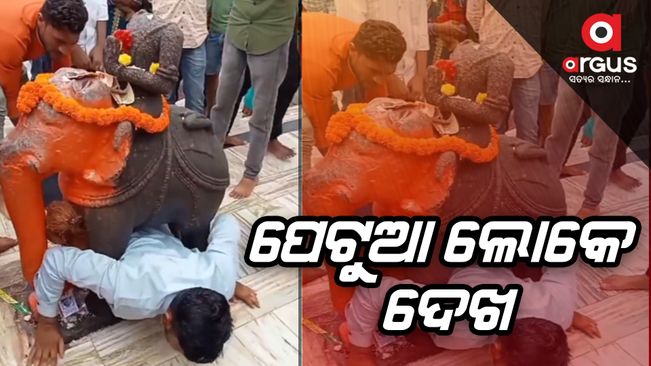 Man Gets Stuck Under Elephant Statue at Gujarat Temple