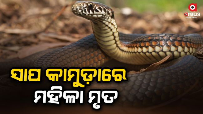 one dead in snake attack