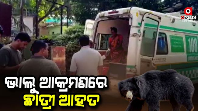 college-student-injured-in-bear-attack-at-sambalpur-rerakhol