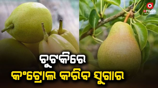 health-benefits-of-pear-nashpati