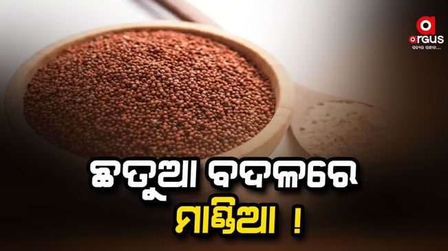 govt-is-planning-to-provide-mandia-instead-of-sattu