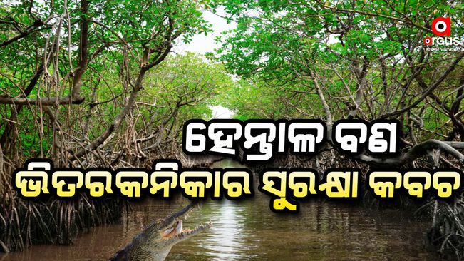 mangrove-forest-protector-of-bhitarakanika