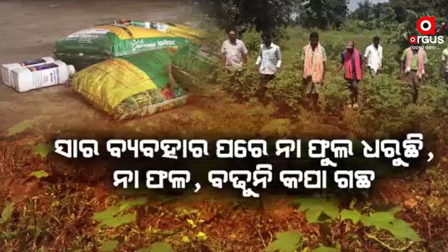 Big scam to cotton farmers in the name of organic fertilizers