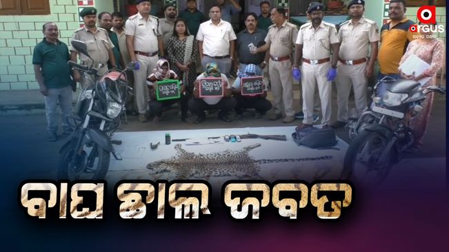 Tiger skin seized, 3 poachers arrested